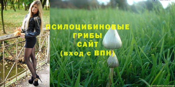 твердый Костерёво