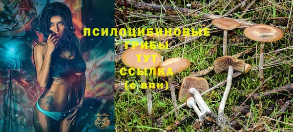 дурь Коряжма