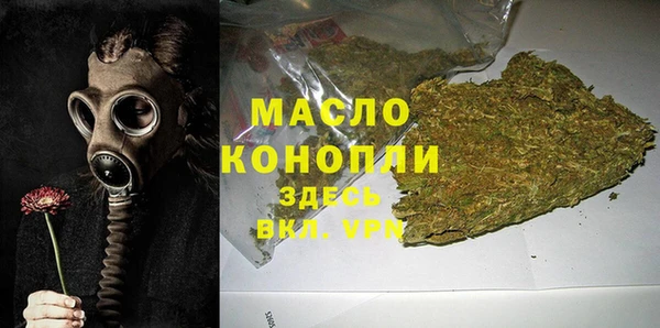 индика Киров