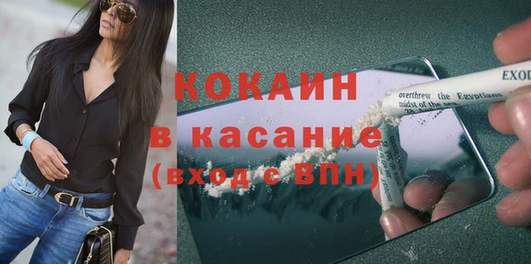 индика Киров