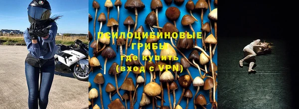 твердый Костерёво