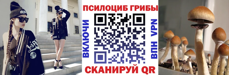 Псилоцибиновые грибы Psilocybine cubensis  Купить  Мурино 