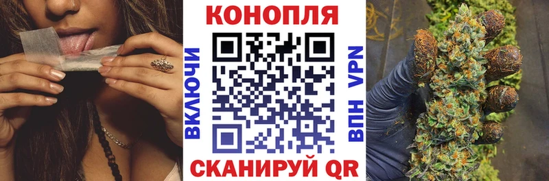 Купить закладки  Мурино  Бошки марихуана THC 21% 